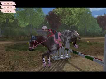 Train Up A Champion Steed!